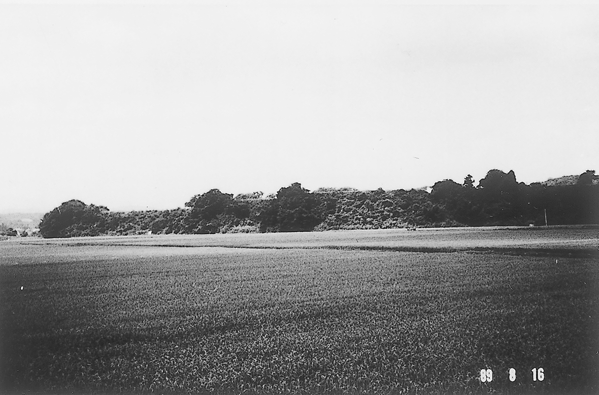 角沢付近の河岸段丘(低位段丘)