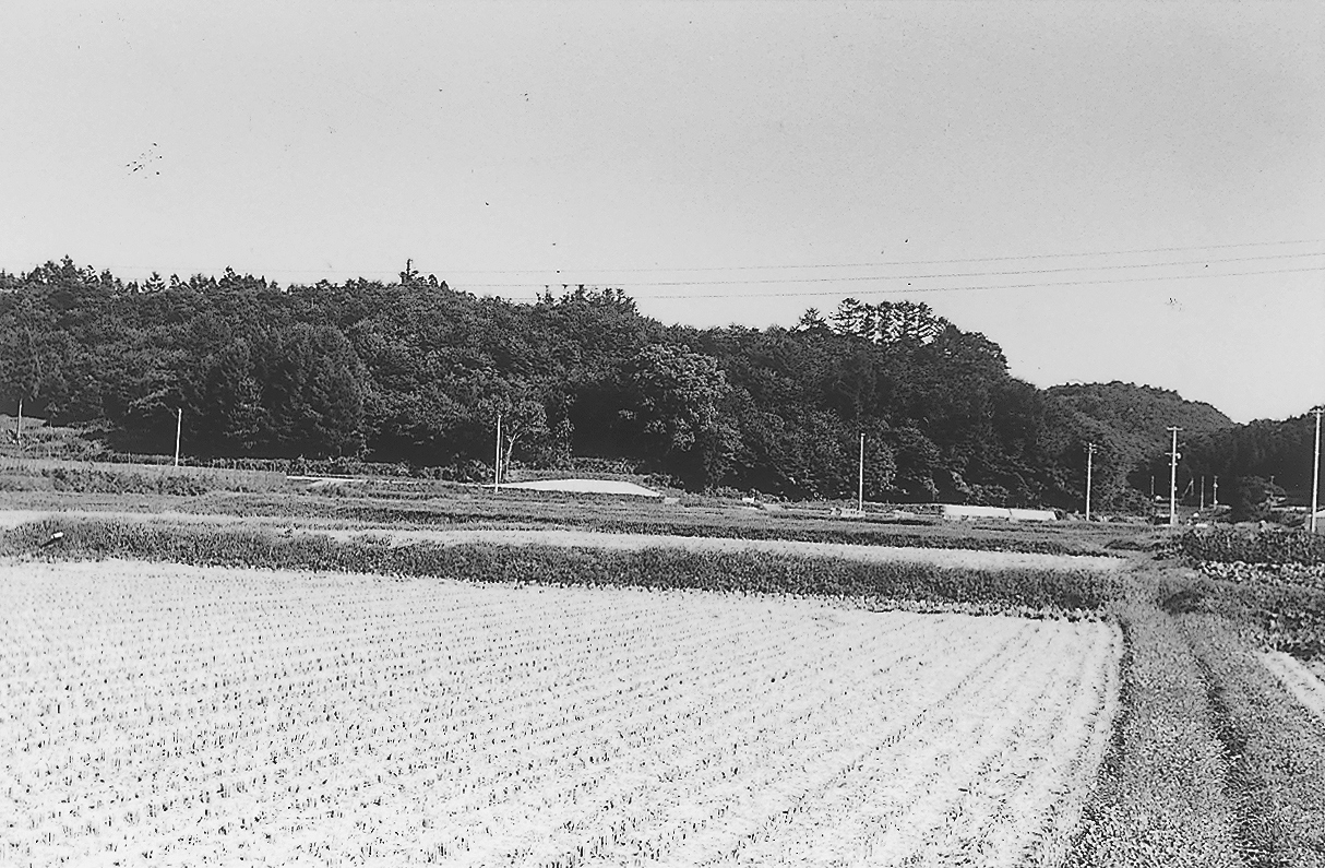 薬師長嶺遠望（鮭川村）