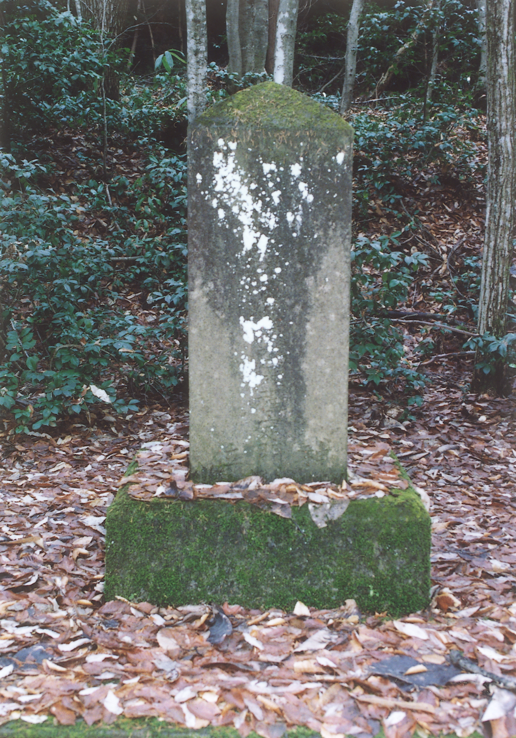 戸沢政武の墓(桂嶽寺)