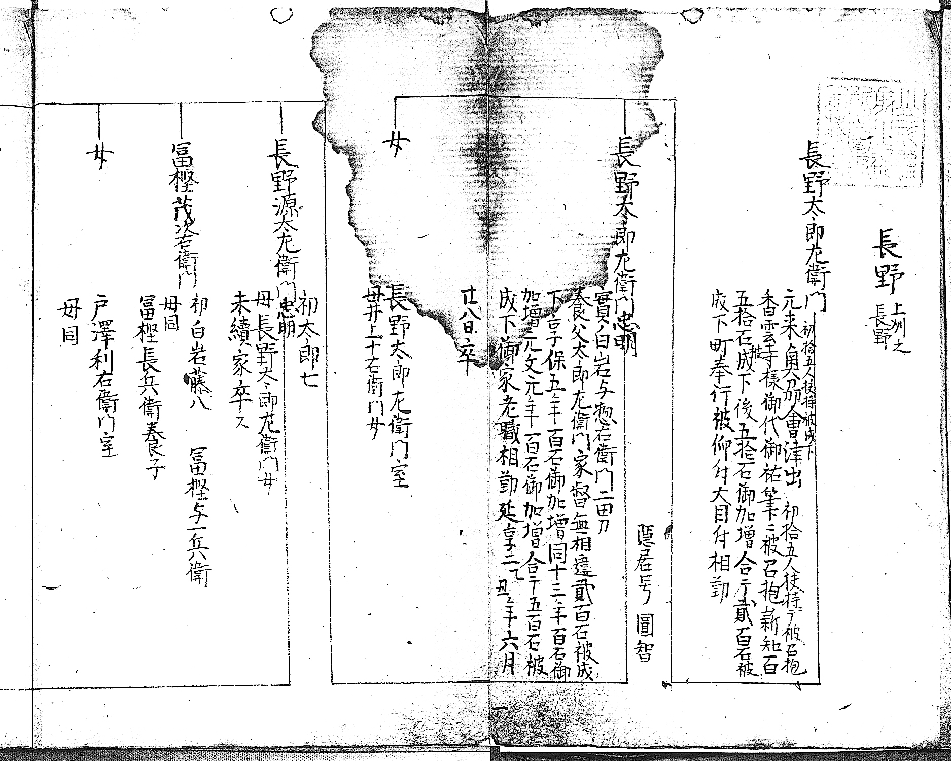 長野太郎左衛門家系図