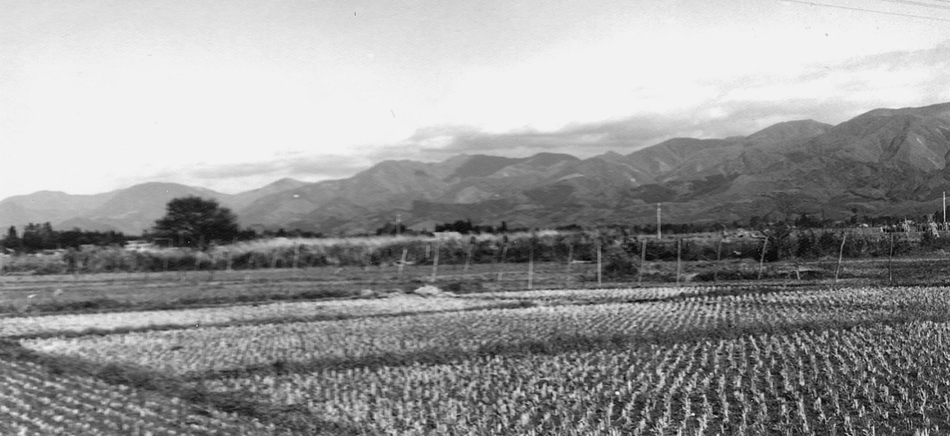 台山天狗山火灯岳の遠望