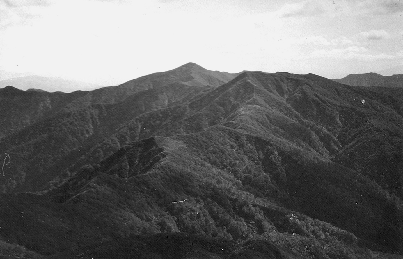 天狗、小又を望む