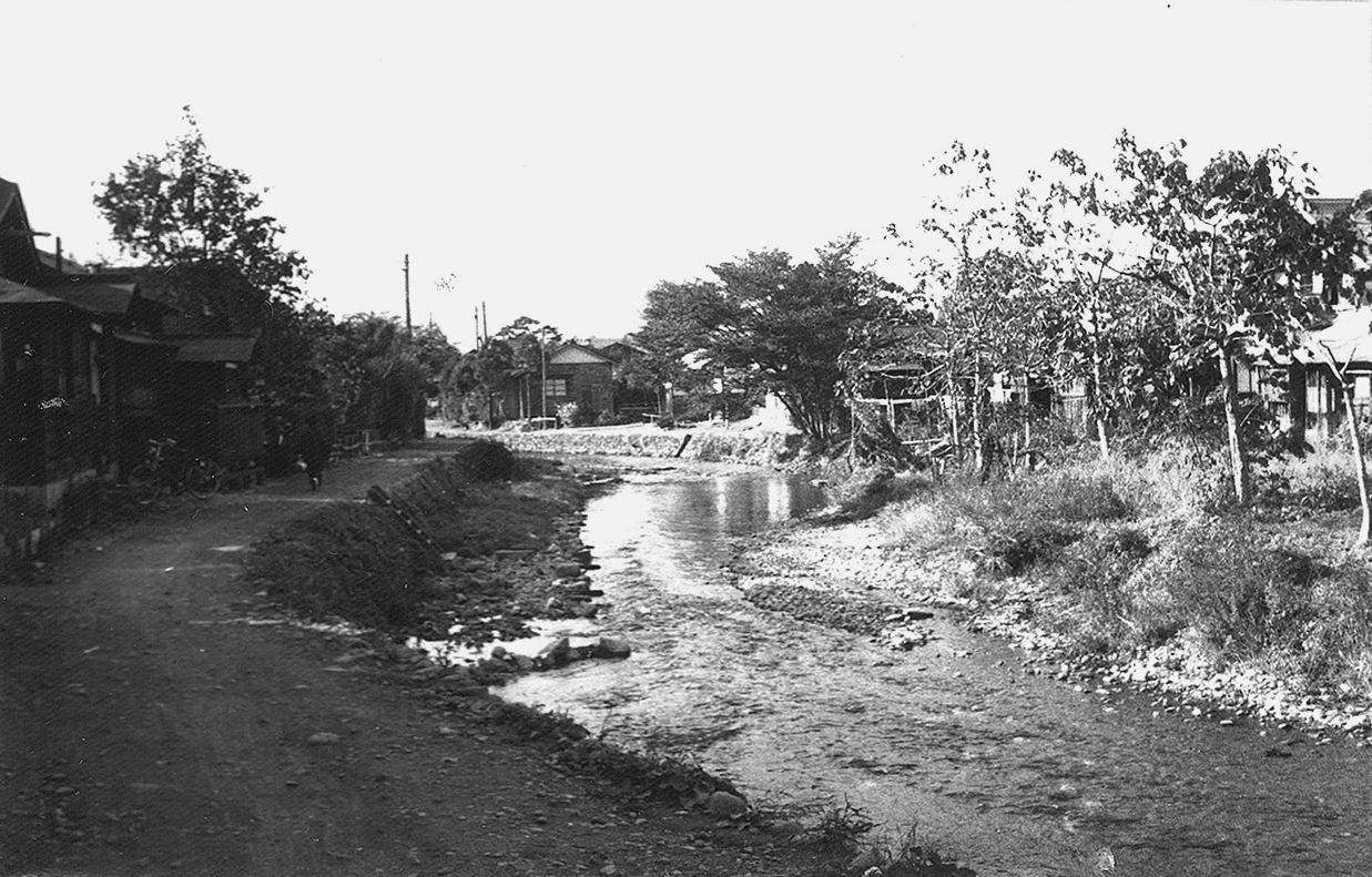 指首野川沿い（三本橋）