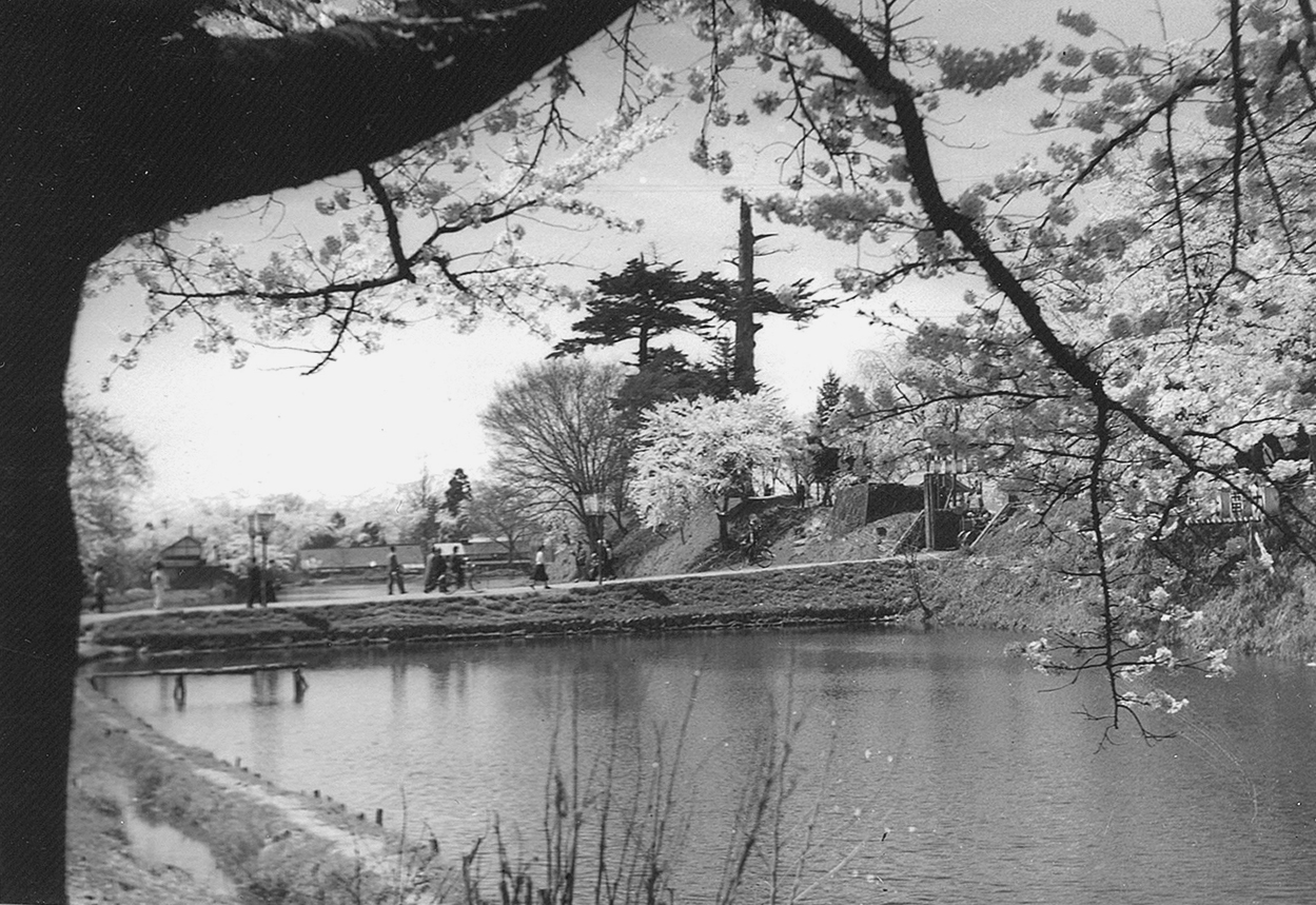 最上公園のお堀入口