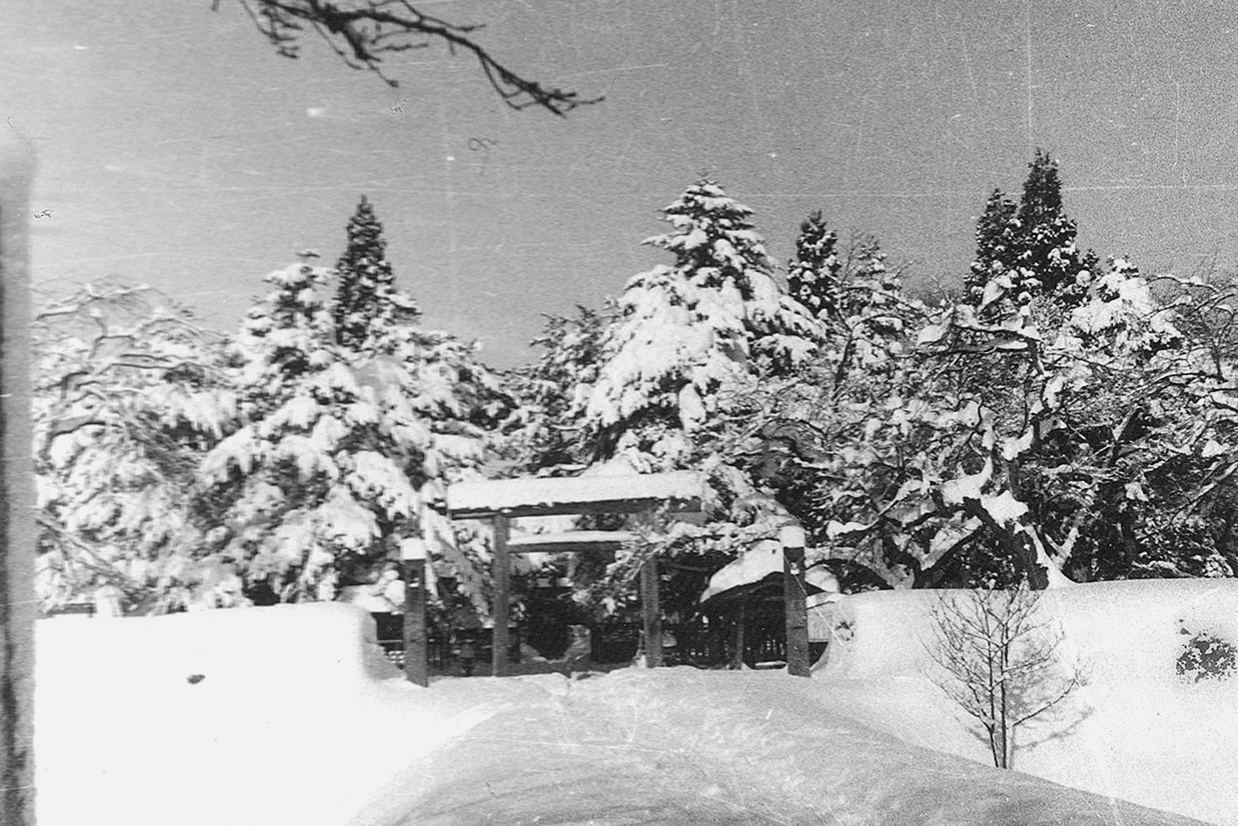 雪の最上公園　鳥居