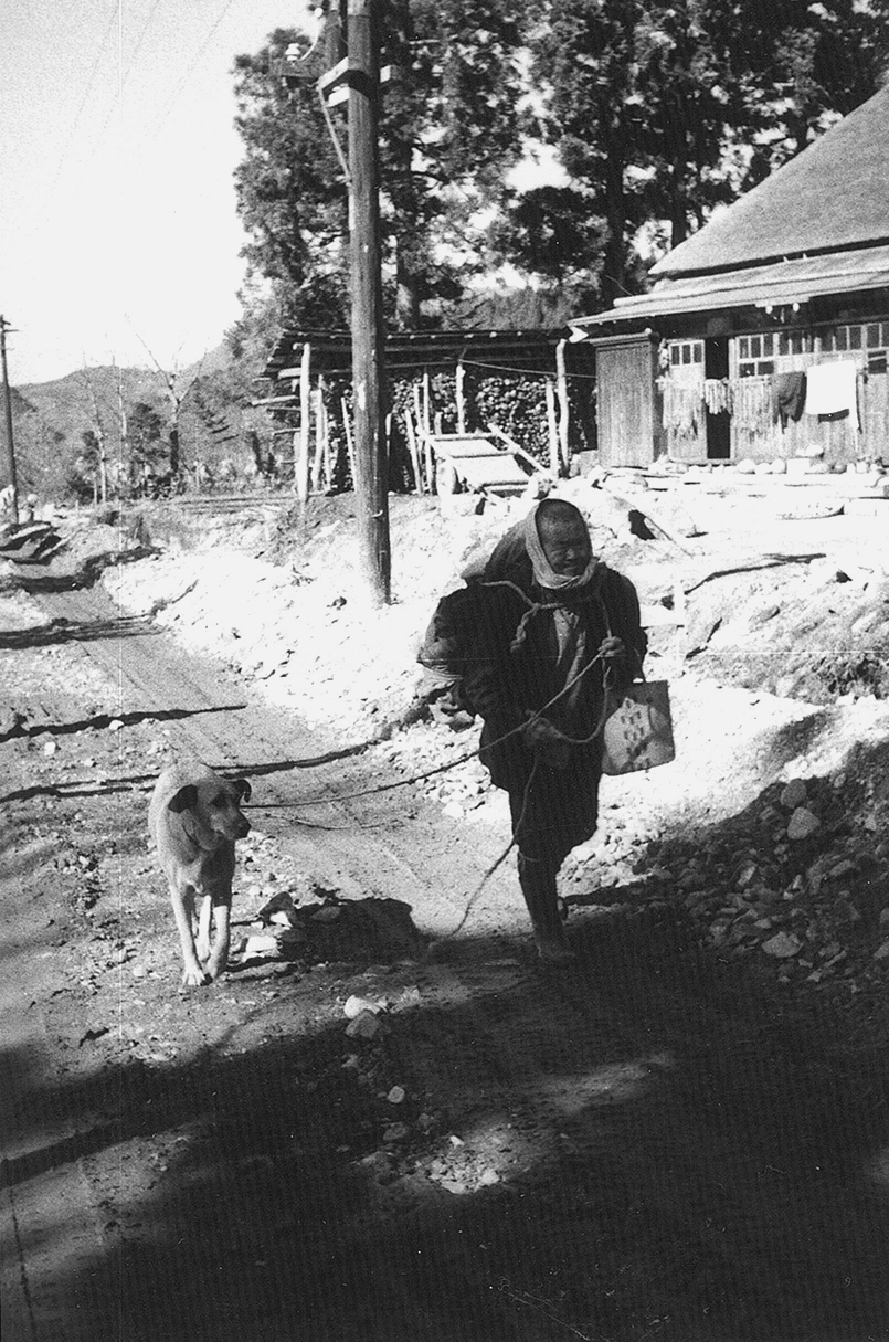 犬を連れて歩くお父さん