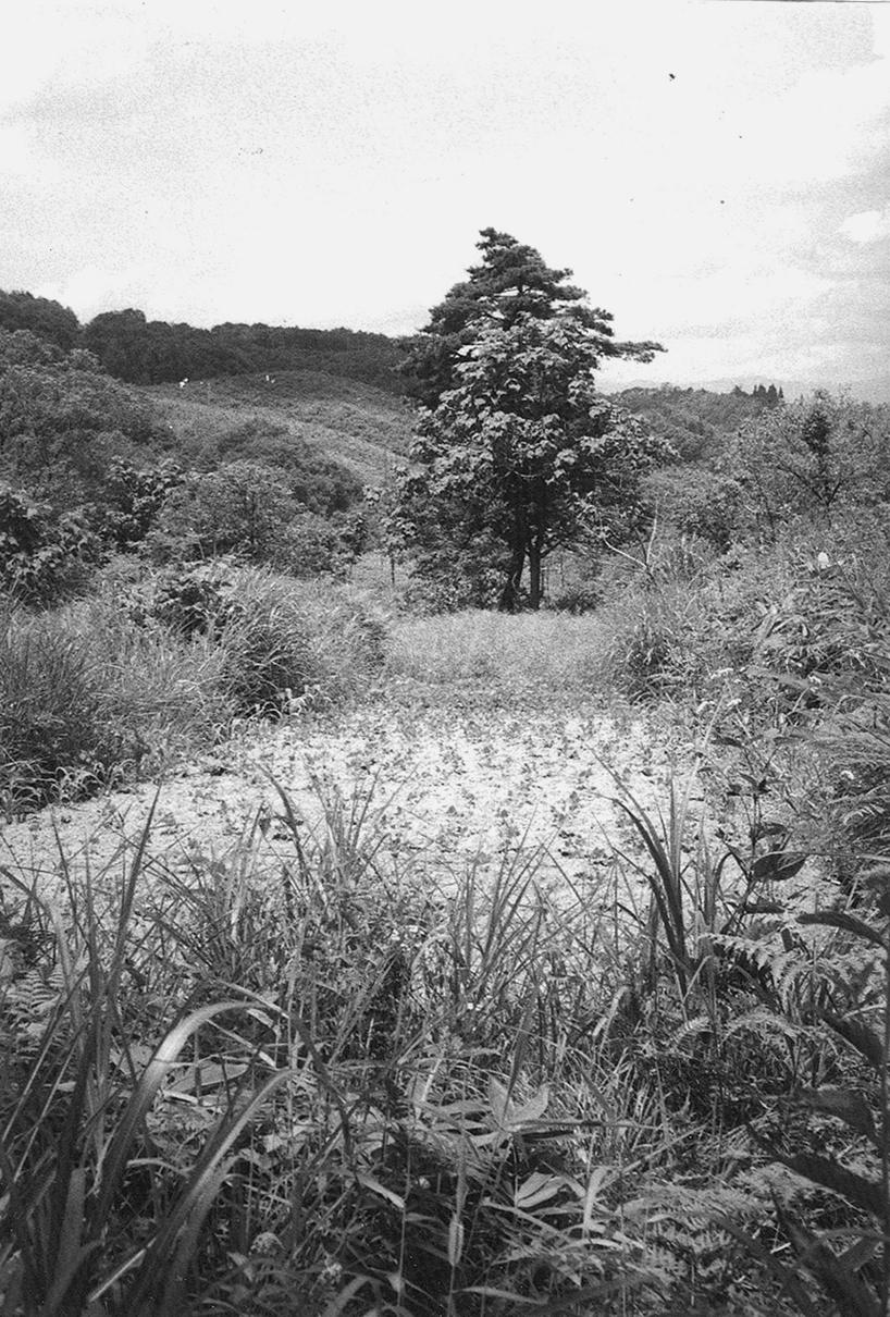 山の中の平地