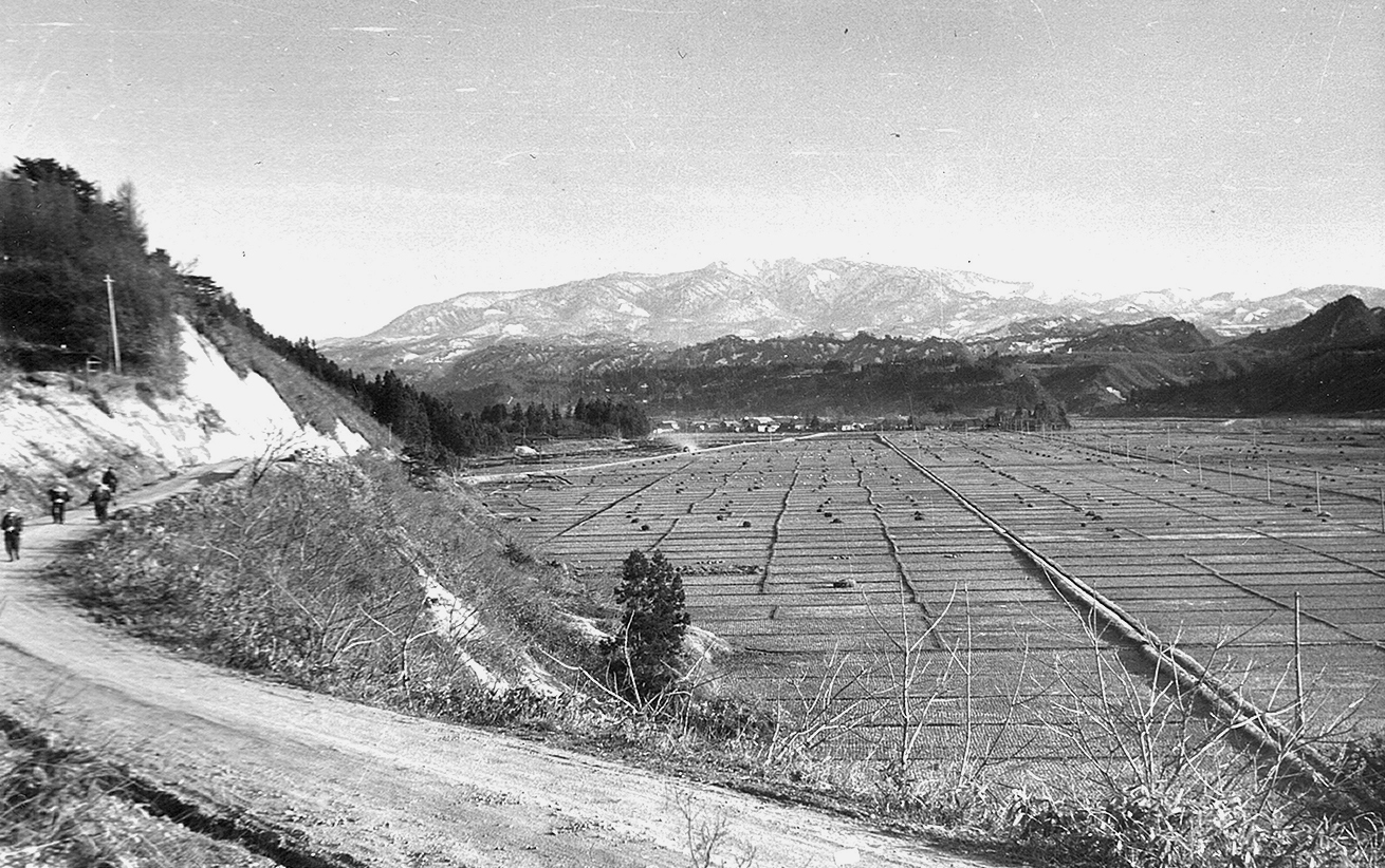 デンマーク農法指導農場