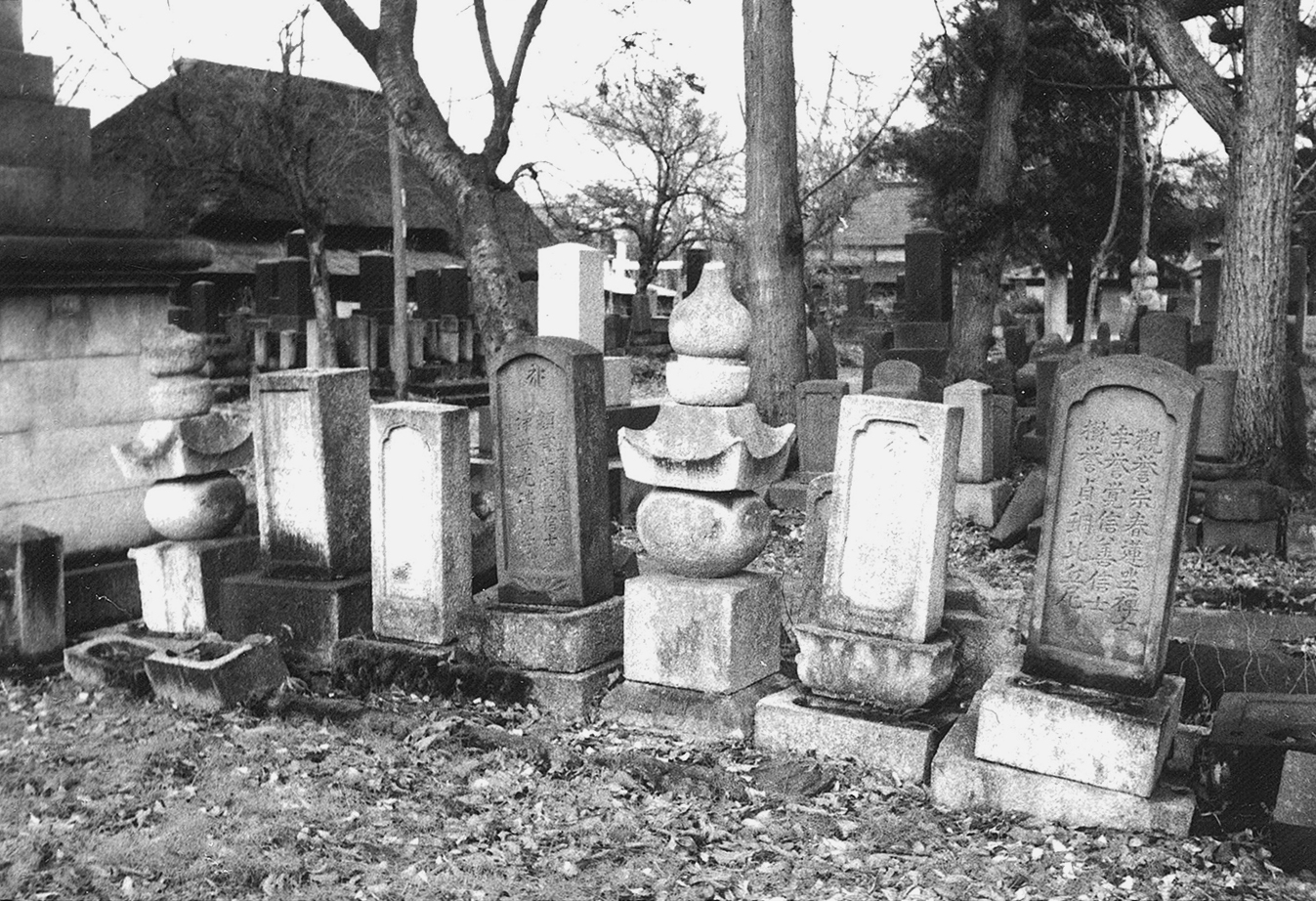 澁谷家一族の墓（接引寺）