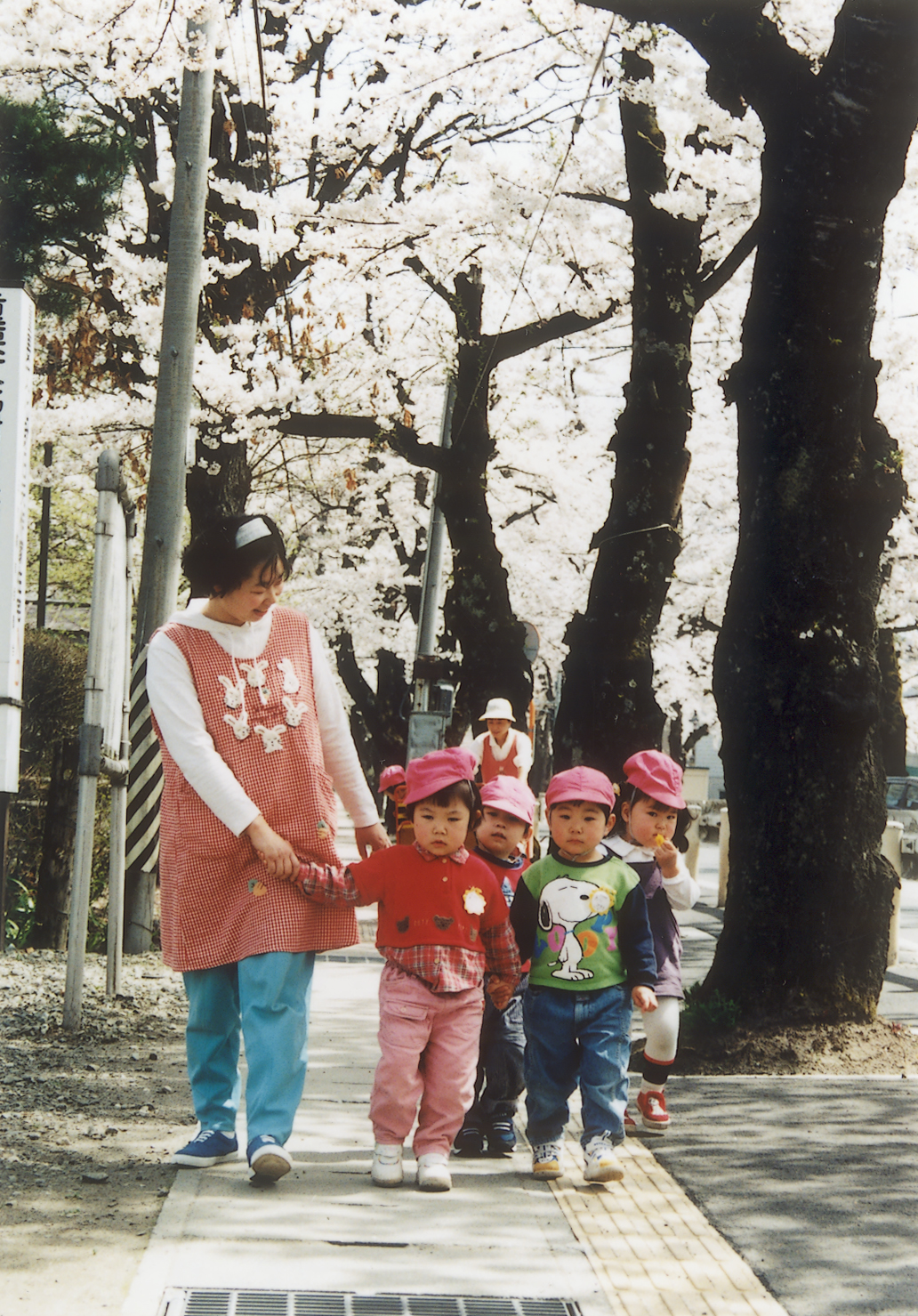 桜並木の下の子どもたち（平成10年、泉田）