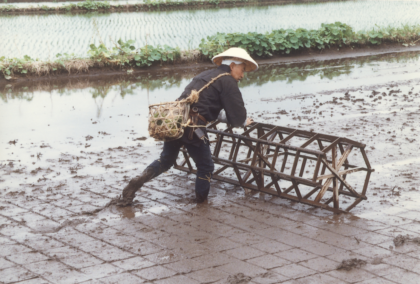 昔 の 田植え の 道具