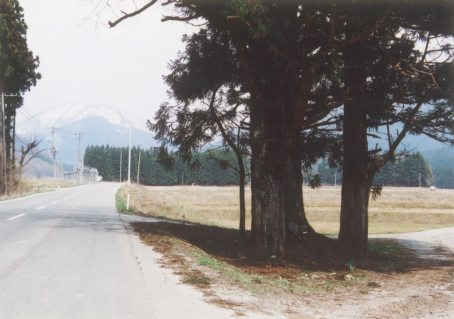 仁田山の庚申塔