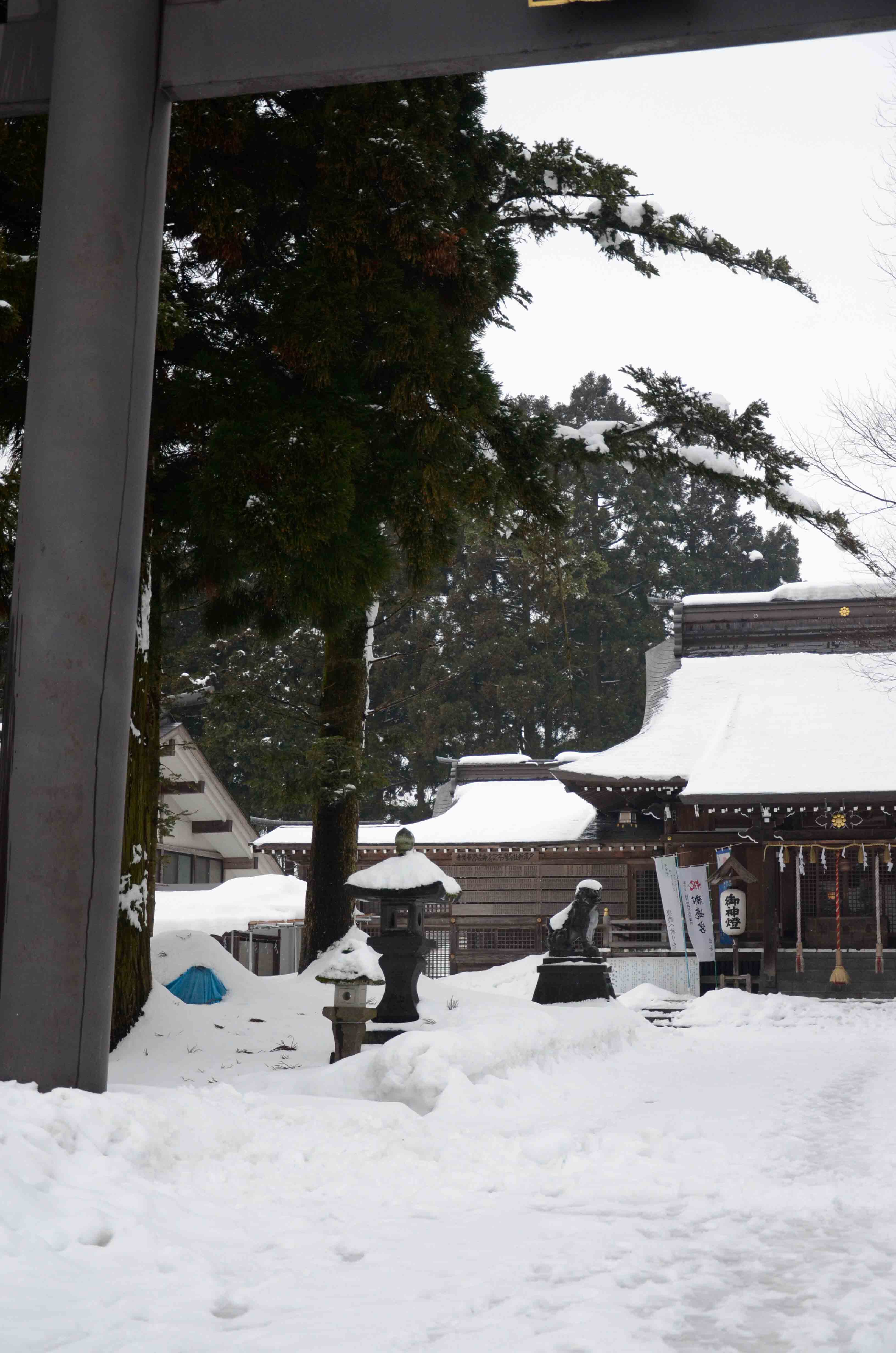 戸澤神社(雪景色)