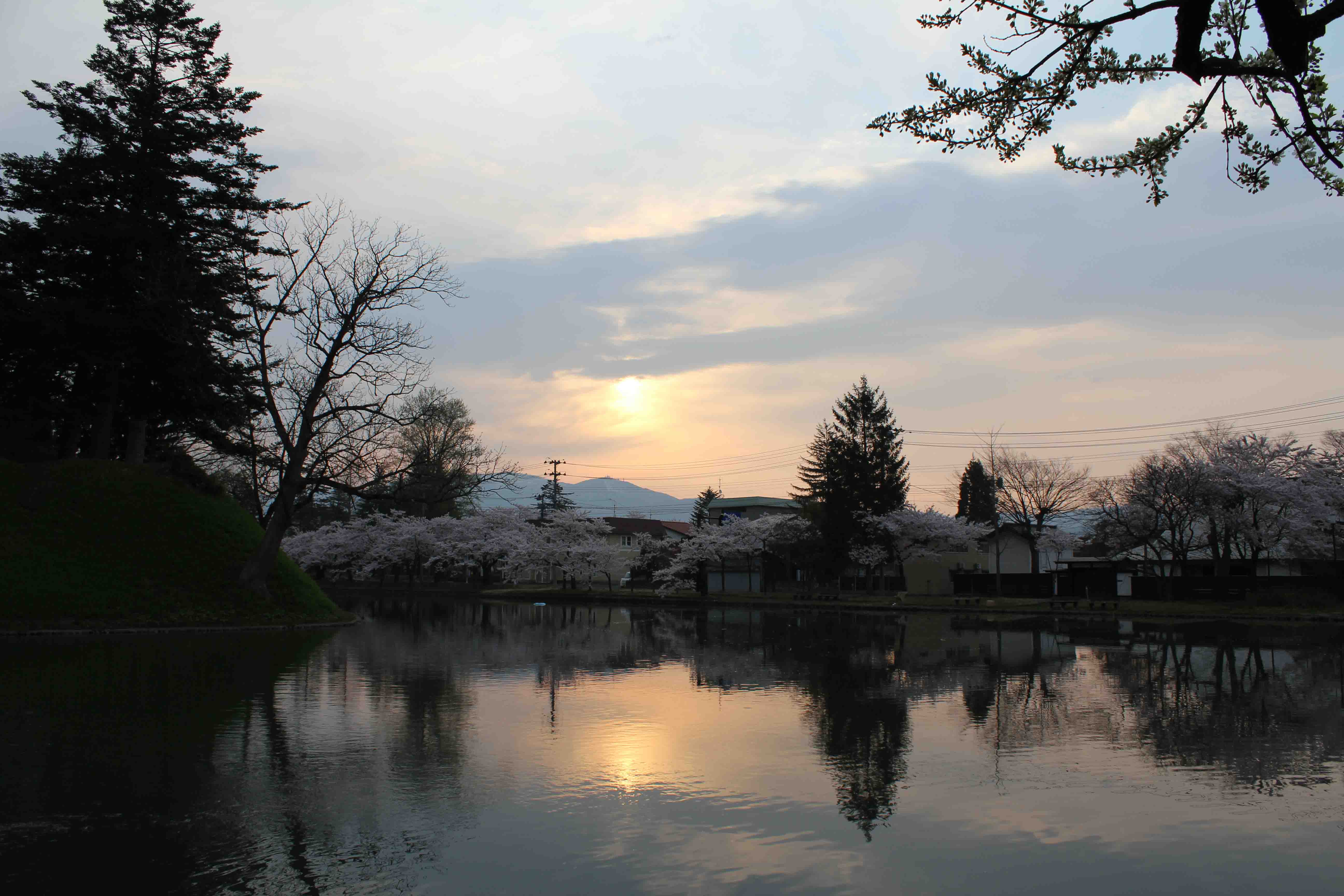 桜のある風景