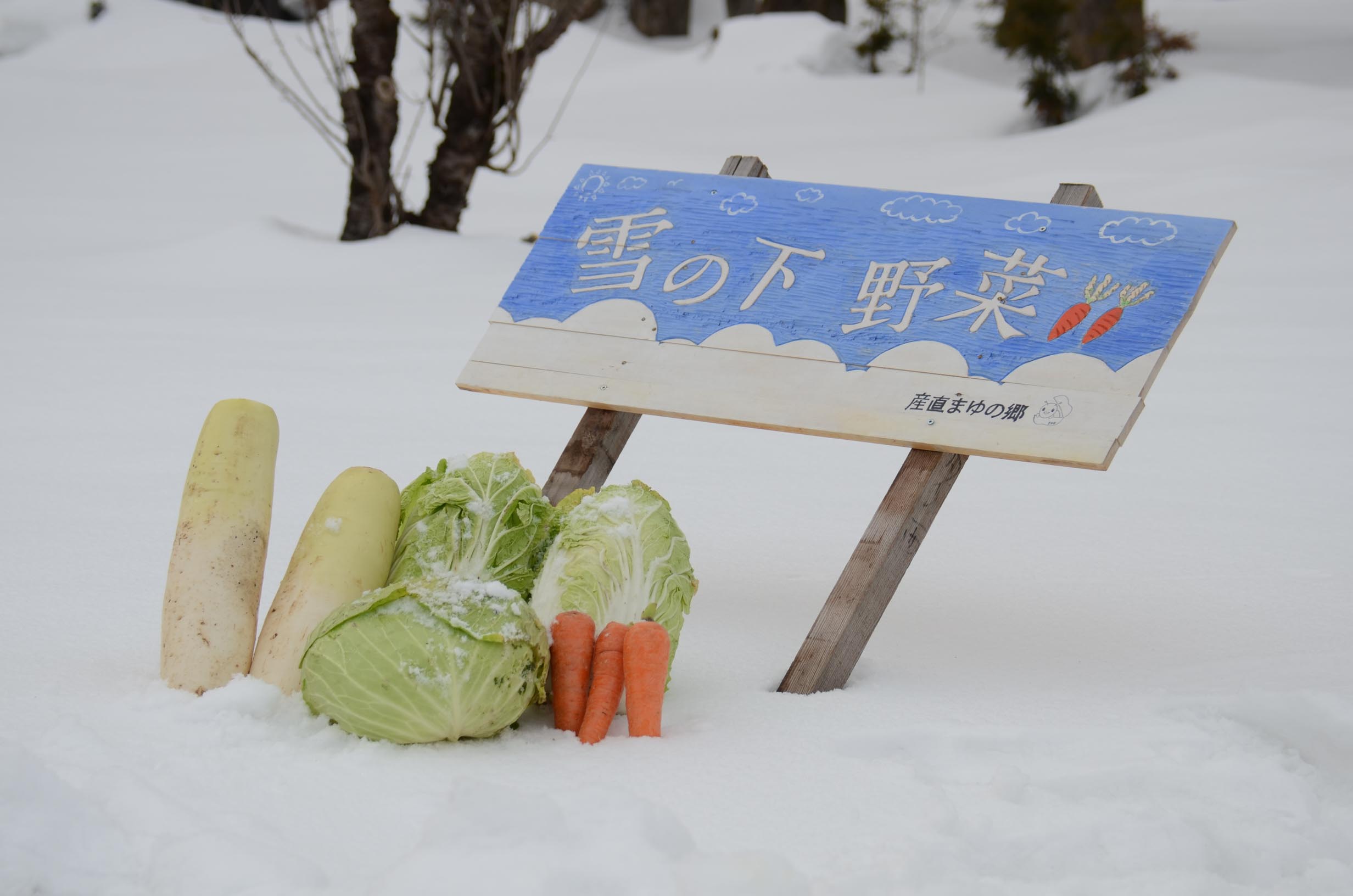 雪の下野菜