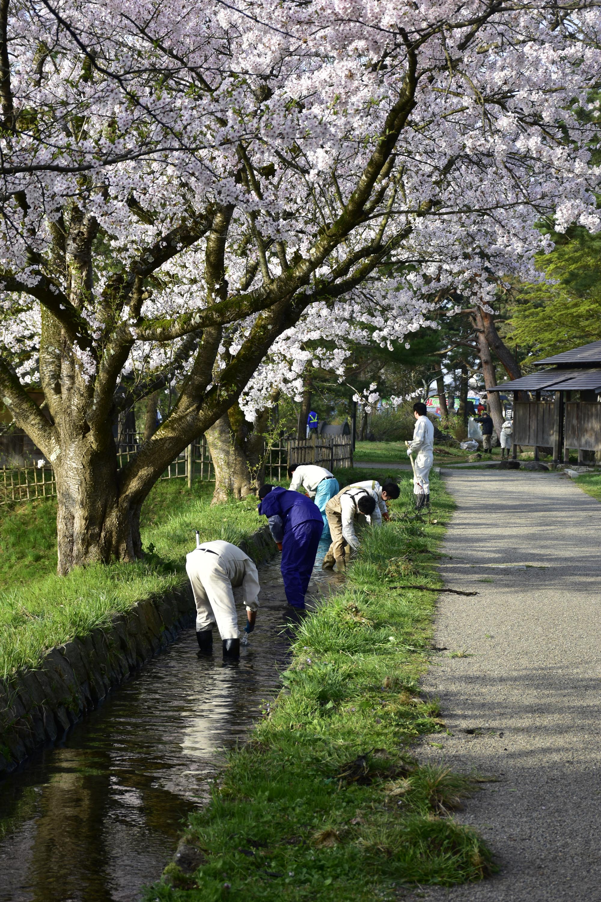 最上公園ボランティア清掃