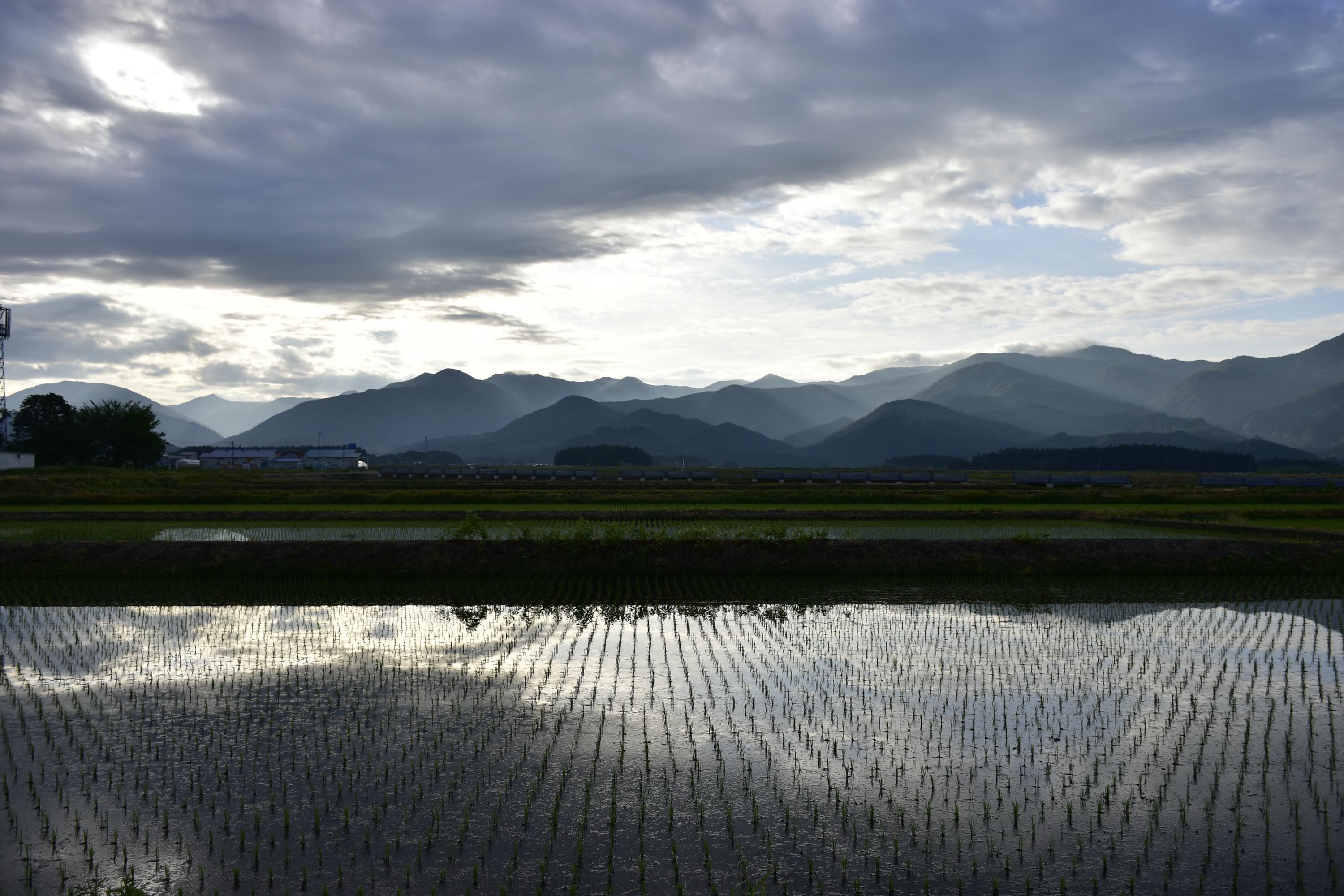 田植え時期の明朝