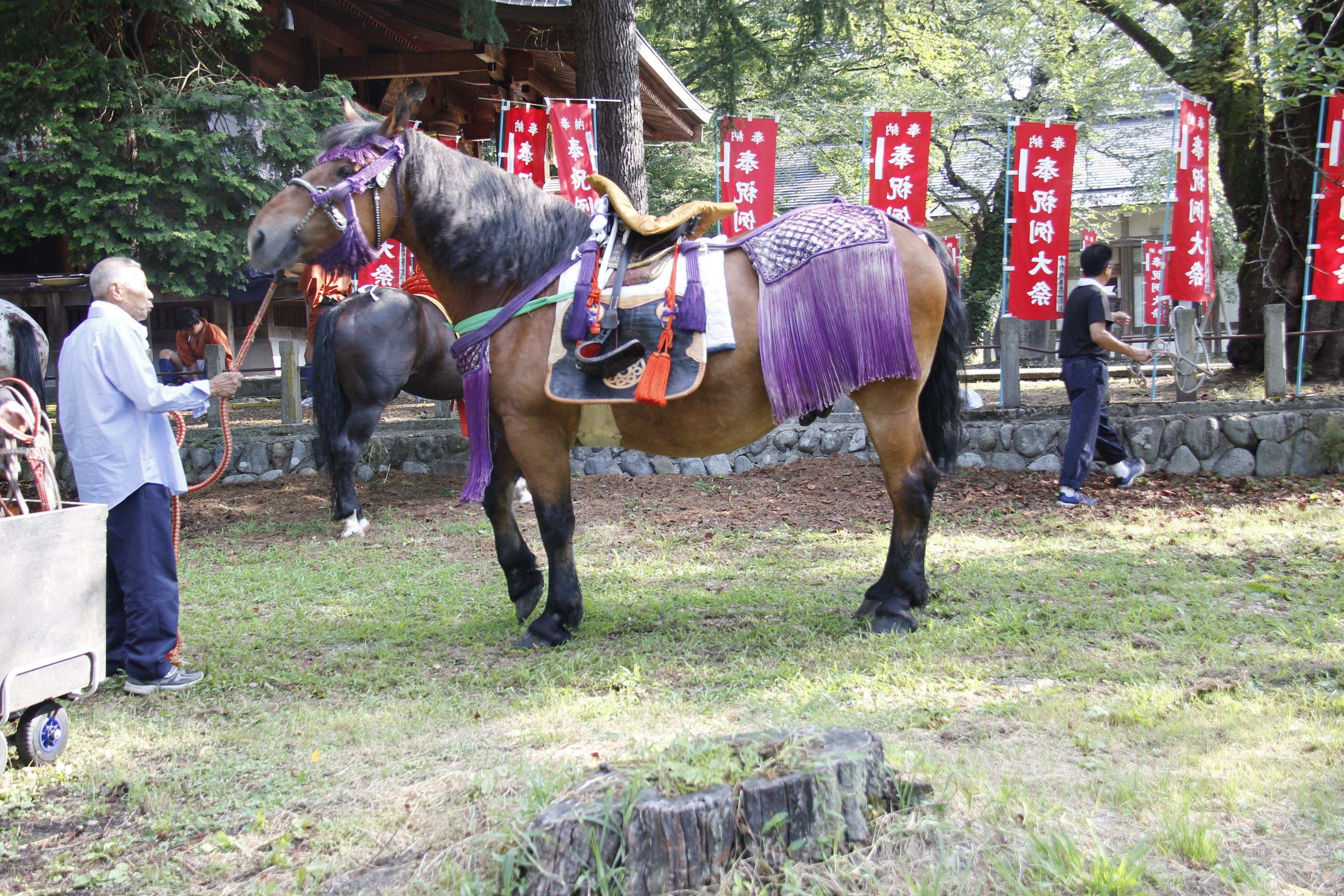 神馬