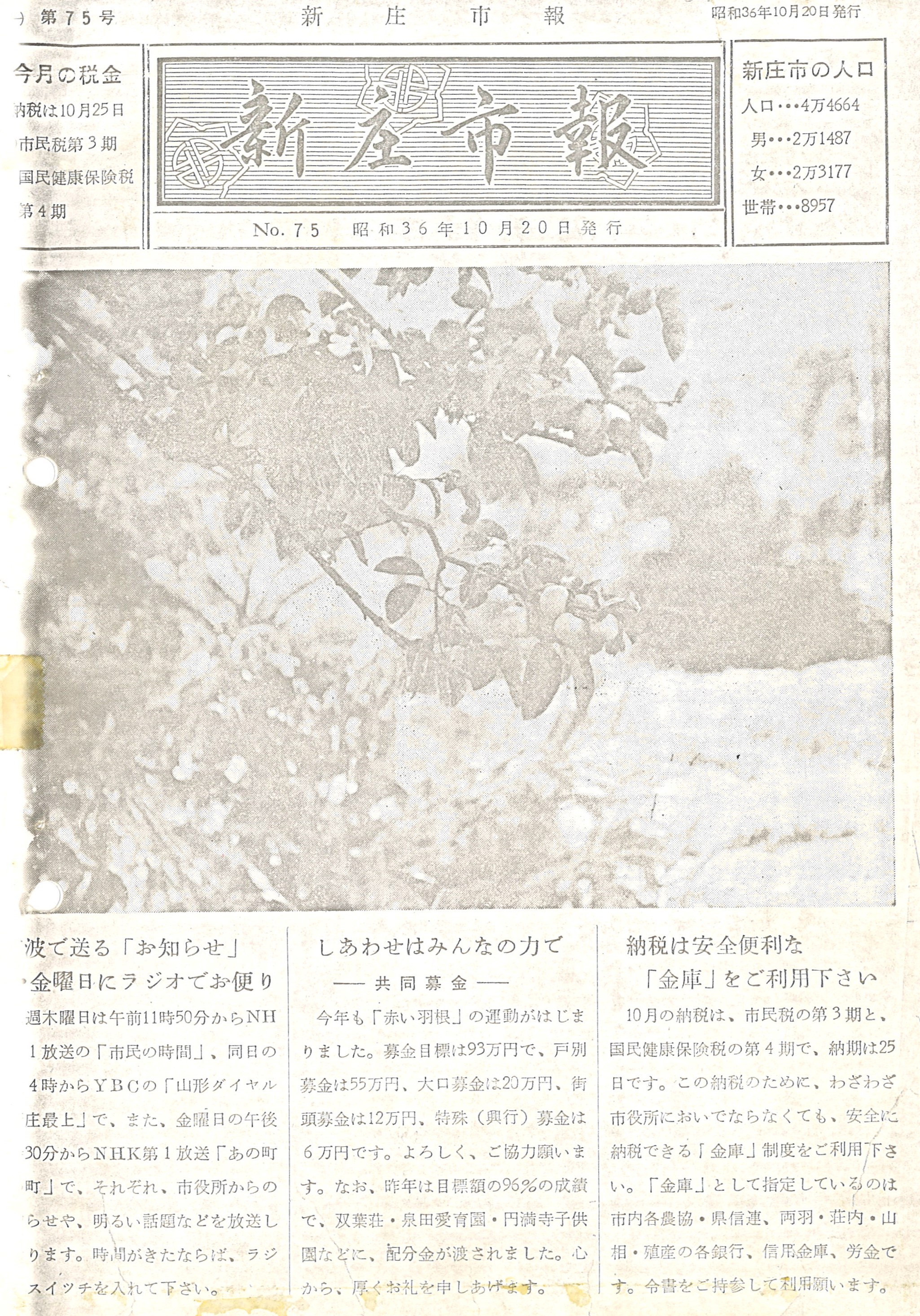 1961年 広報しんじょう10月号