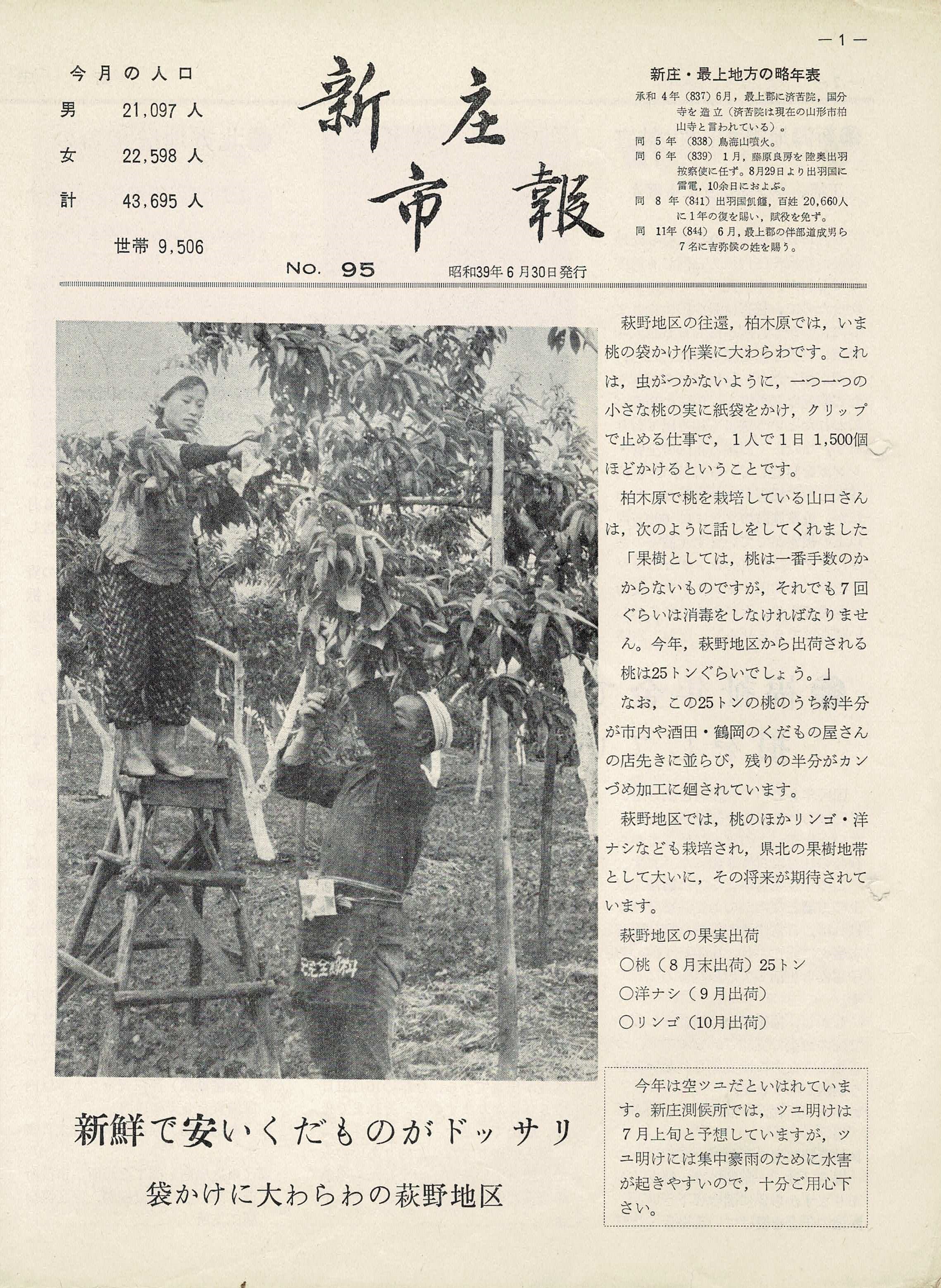 1964年 広報しんじょう6月号