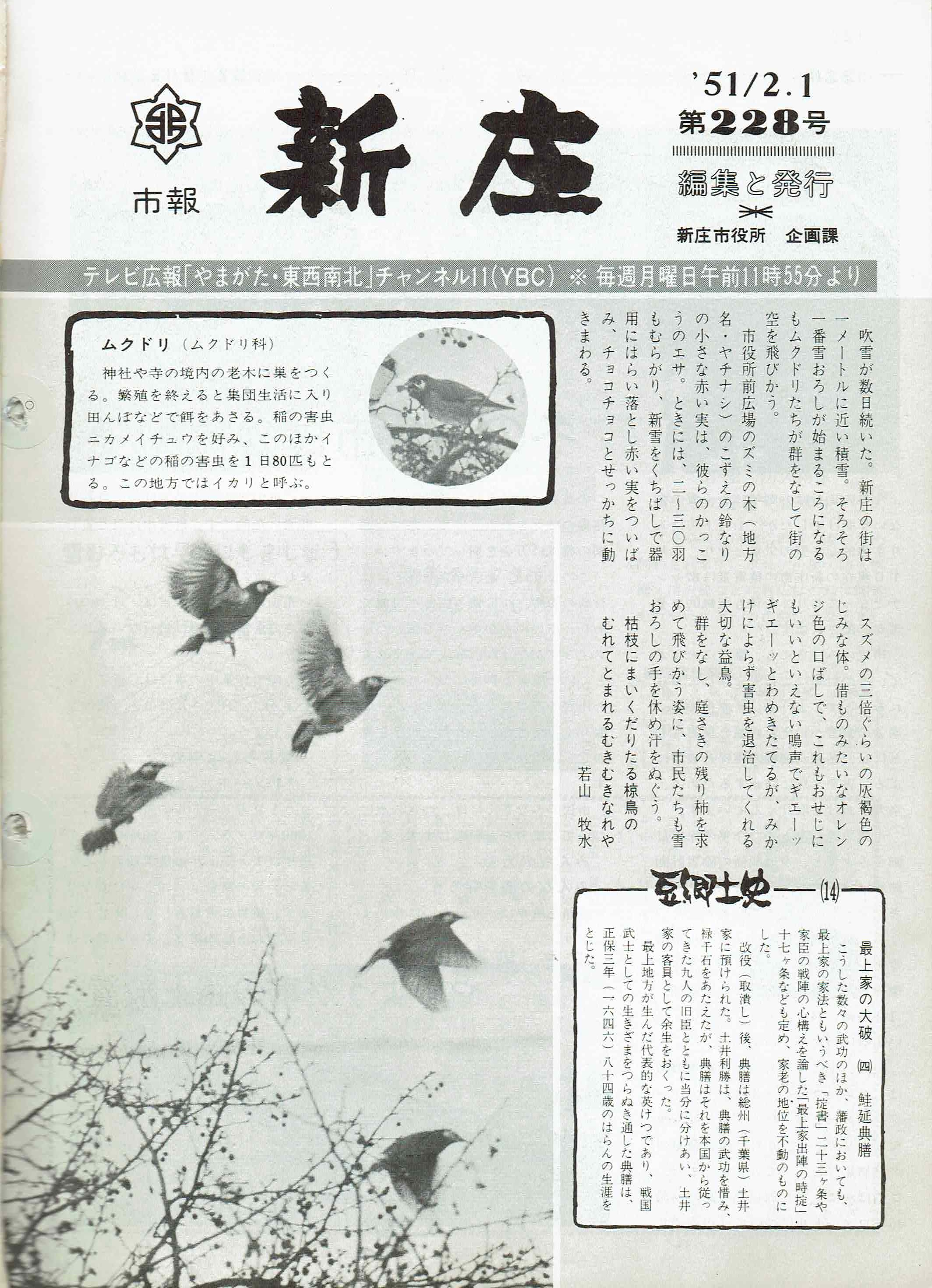 1976年 広報しんじょう2月号