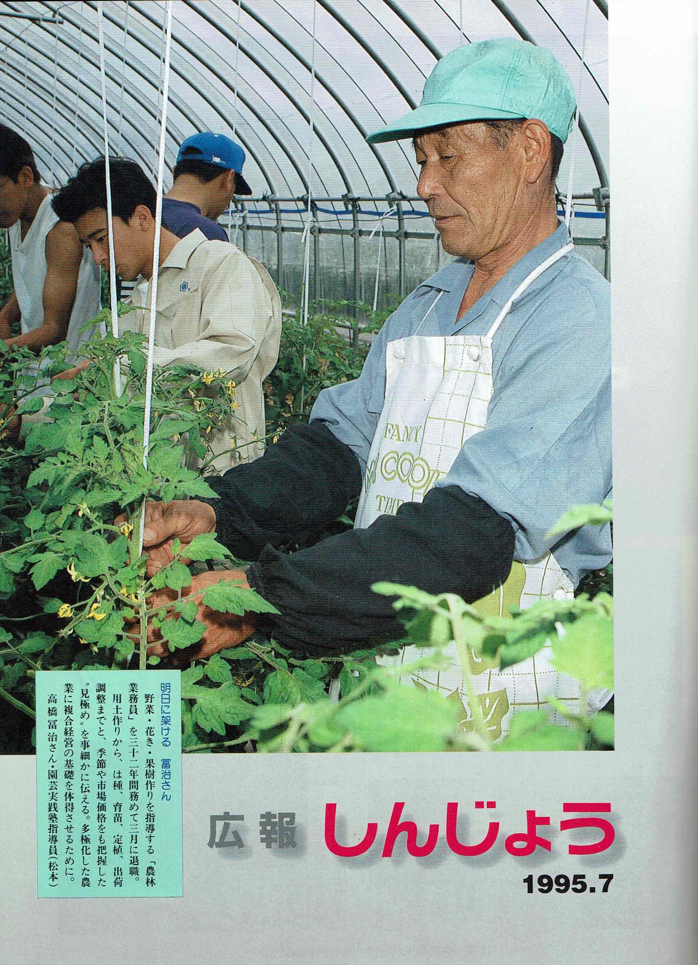 1995年 広報しんじょう7月号