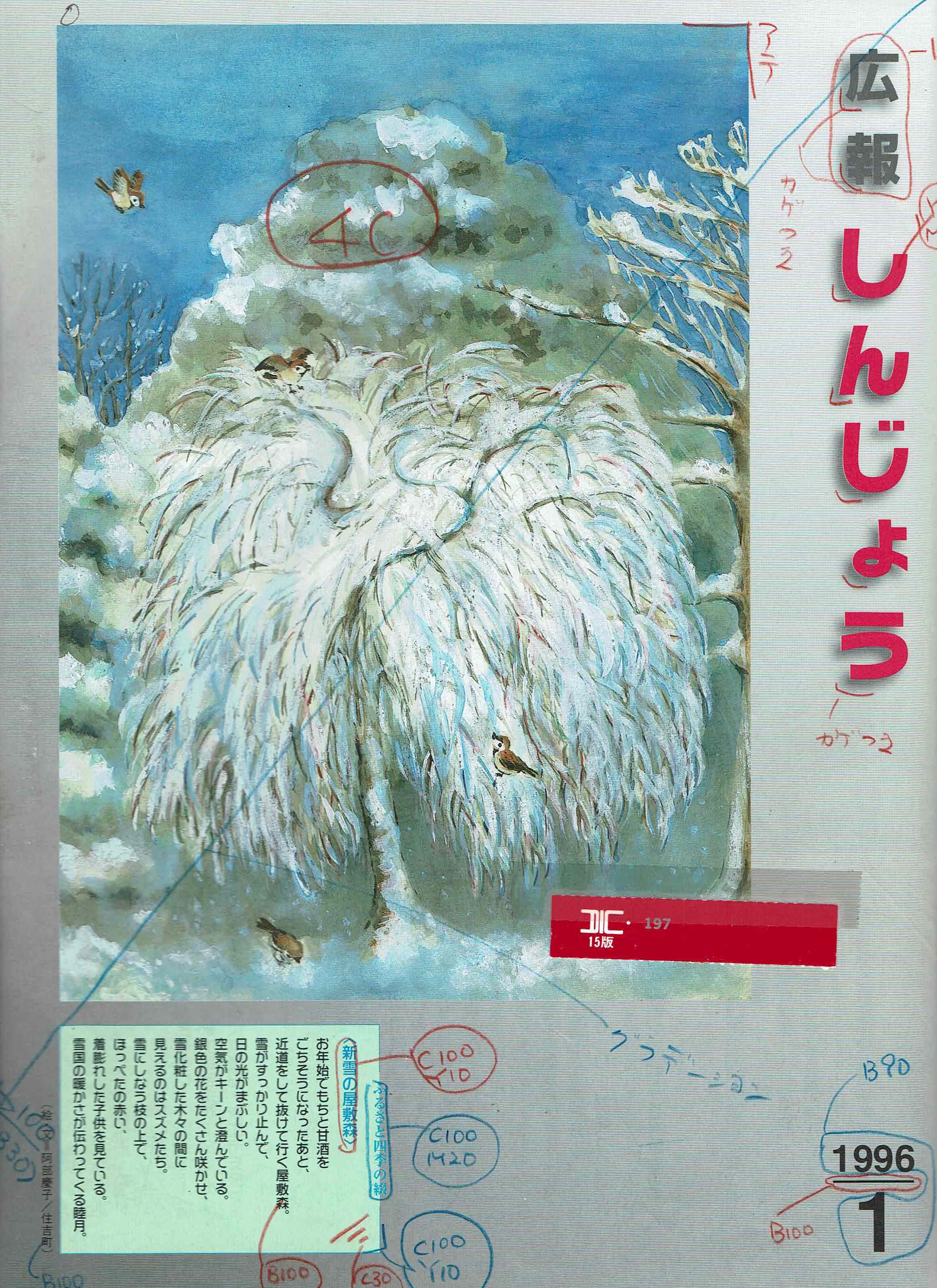 1996年 広報しんじょう1月号