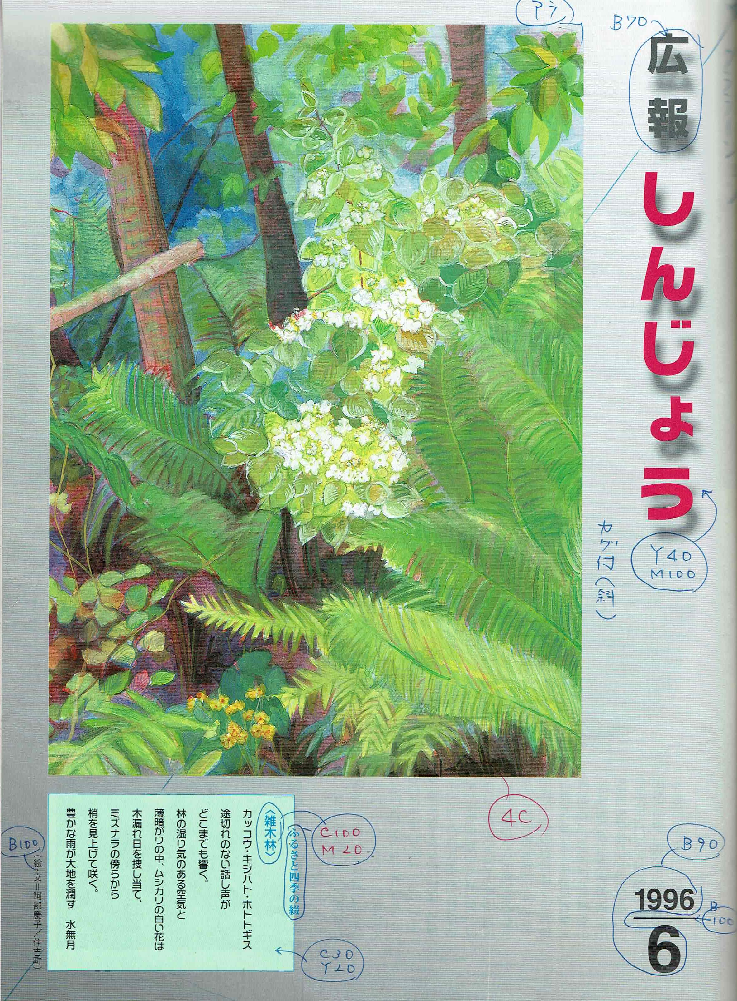 1996年 広報しんじょう6月号