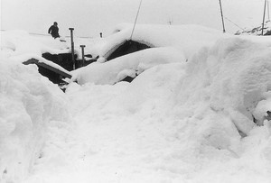 雪に埋もれた民家