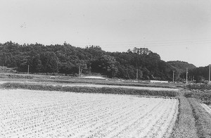 薬師長嶺遠望（鮭川村）