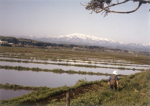 月山遠望