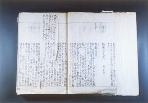 ｢戸沢藩系図書」(大森御前の項)