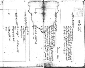 長野太郎左衛門家系図