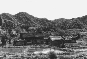 山裾の家と小屋