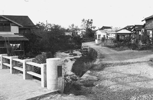 中の川　川端