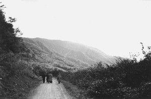 山の道路と男性3.人