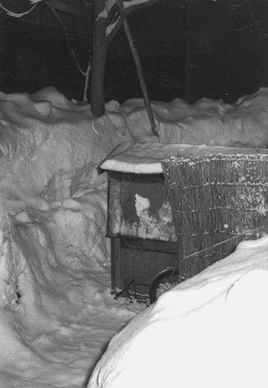 雪の中にある屋台らしき物