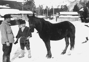 馬と飼い主