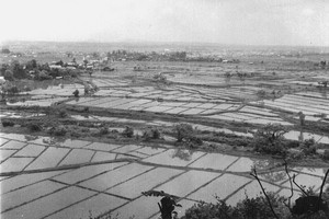 田植前の田んぼ