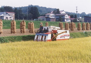 コンバインによる収穫（平成10年、関屋地区）