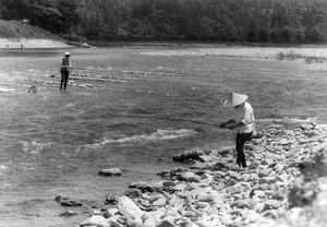 小国川のアユ釣り