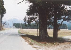 仁田山の庚申塔