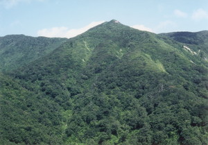 台山尾根から神室山頂を望む