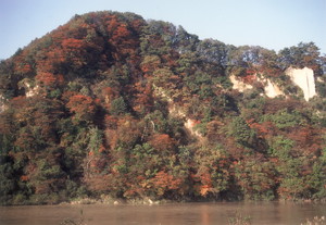 紅葉の八向山