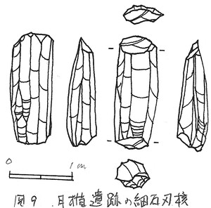 月楯遺跡出土の細石刃核（実測図）