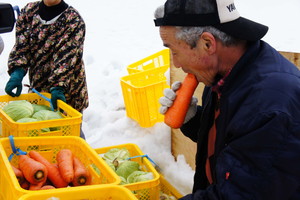 雪の下野菜