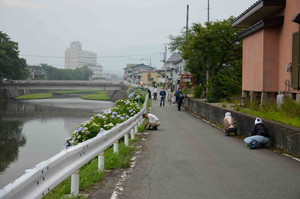 河川清掃