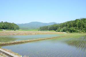 田園風景