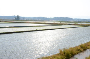 田園風景