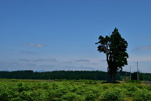 塩野原基線